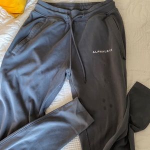 Alphalete Joggers in Grey